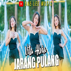 Vita Alvia - Dj Remix Jarang Pulang.mp3