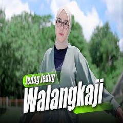 Download Lagu Dj Topeng - Dj Jedag Jedug Party Walangkaji Terbaru