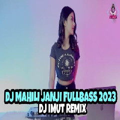 Download Lagu Dj Imut - Dj Mahili Janji Full Bass 2023 Terbaru