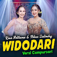 Download Lagu Niken Salindry - Widodari Feat Rina Aditama Terbaru
