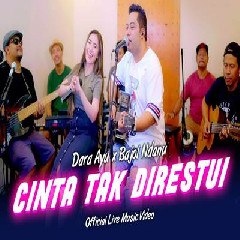 Download Lagu Dara Ayu - Cinta Tak Direstui Ft Bajol Ndanu Terbaru