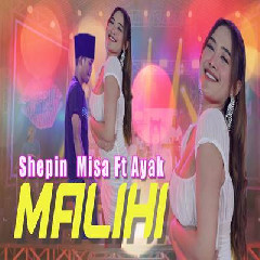 Shepin Misa - Malihi (Tagal Haranan Duit Dan Jabatan).mp3