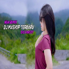 Download Lagu Imelia AG - Dj Mashup V2 Bass Pargoy Paling Dicari Terbaru