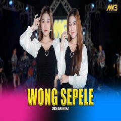 Dike Sabrina - Wong Sepele Ft Bintang Fortuna.mp3