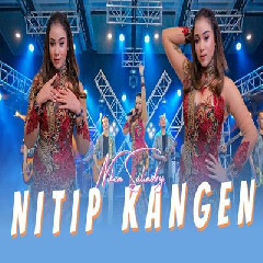 Download Lagu Niken Salindry - Nitip Kangen (Wis Pirang Bengi Ora Biso Turu) Terbaru