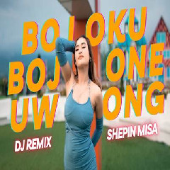 Shepin Misa - Dj Remix Bojoku Bojone Uwong.mp3