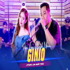 Download Lagu Dara Ayu - Ginio Ft Bajol Ndanu Terbaru
