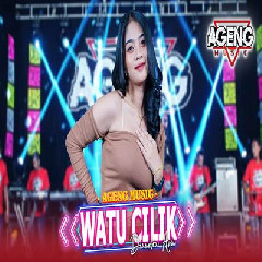 Diandra Ayu - Watu Cilik Ft Ageng Music.mp3
