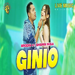 Download Lagu Brodin - Ginio Feat Shepin Misa Terbaru