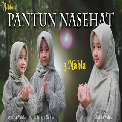 Download Lagu 3 Nahla - Pantun Nasehat Terbaru