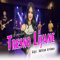 Diandra Ayu - Tresno Liyane.mp3