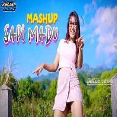 Kelud Music - Dj Karnaval New Sapi Madu.mp3