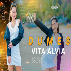 Vita Alvia - Dumes Dj Remix Version.mp3