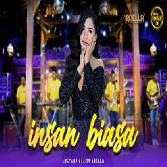 Download Lagu Lusyana Jelita - Insan Biasa Ft Om Adella Terbaru