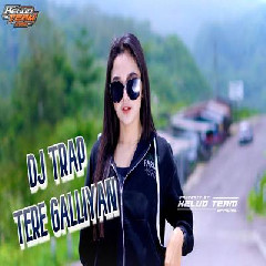 Download Lagu Kelud Team - Dj Trap India Tere Galiyan Terbaru