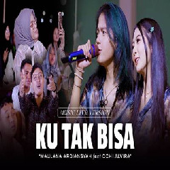 Download Lagu Maulana Ardiansyah - Ku Tak Bisa Ft Ochi Alvira Ska Reggae Terbaru