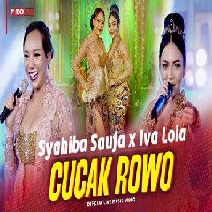Download Lagu Syahiba Saufa X Iva Lola - Cucak Rowo Terbaru