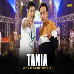 Download Lagu Delva Irawan - Tania A Su Lama Suka Dia Feat Bayu G2B Bintang Fortuna Terbaru
