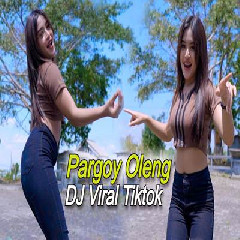 Download Lagu Imelia AG - Dj One More Night Viral Tiktok Pargoy Terbaru