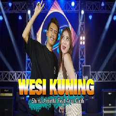 Download Lagu Shinta Arsinta - Wesi Kuning Ft Arya Galih Terbaru