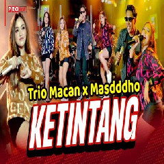 Download Lagu Masdddho X Trio Macan - Ketintang Terbaru