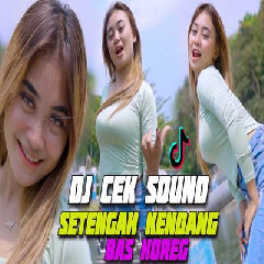 Download Lagu Dj Reva - Dj Too Original Cek Sound Setengah Kendang Bass Horeg Terbaru