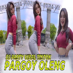 Download Lagu Imelia AG - Dj Party Viral Tiktok X The River Pargoy Bass Der Terbaru