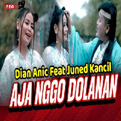 Dian Anic - Aja Nggo Dolanan Ft Juned Kancil.mp3