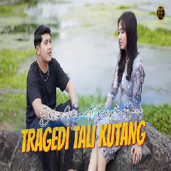 Delva Irawan - Tragedi Tali Kutang Feat Rosynta Dewi.mp3