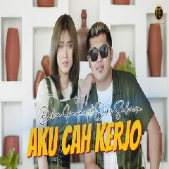 Delva Irawan - Aku Cah Kerjo Feat Dike Sabrina.mp3