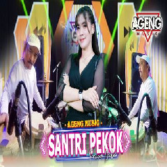 Princes Nadia - Santri Pekok Ft Ageng Music.mp3