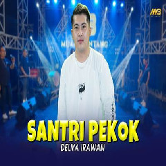 Delva Irawan - Santri Pekok Feat Bintang Fortuna.mp3