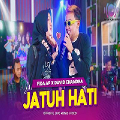 Download Lagu Fida AP X David Chandra - Jatuh Hati Terbaru