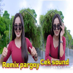Download Lagu Dj Tanti - Remix Pargoy Worth It Paling Dicari Buat Cek Sound Terbaru