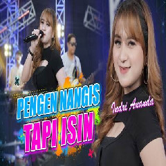 Download Lagu Indri Ananda - Pingin Nangis Tapi Isin Terbaru