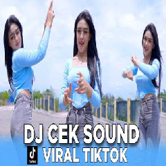 Download Lagu Imelia AG - Dj Cek Sound Darkside Viral Tiktok Full Bass Nguk Terbaru