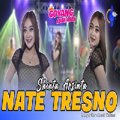 Shinta Arsinta - Nate Tresno.mp3