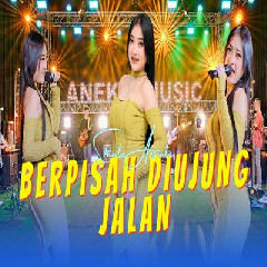 Download Lagu Shinta Arsinta - Berpisah Diujung Jalan Terbaru