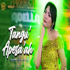Download Lagu Lusyana Jelita - Tangu Apesaah Ft Om Adella Terbaru