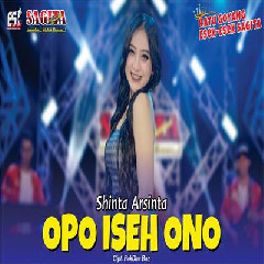 Download Lagu Shinta Arsinta - Opo Iseh Ono Terbaru
