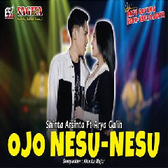Download Lagu Shinta Arsinta - Ojo Nesu Nesu Feat Arya Galih Terbaru