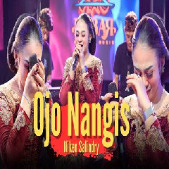 Download Lagu Niken Salindry - Ojo Nangis Terbaru