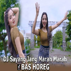 Download Lagu Dj Tanti - Dj Sayang Jang Marah Marah Terbaru