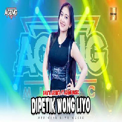 Shinta Arsinta - Dipetik Wong Liyo Ft Ageng Music.mp3