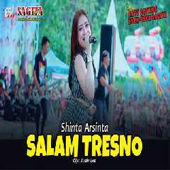 Download Lagu Shinta Arsinta - Salam Tresno Terbaru