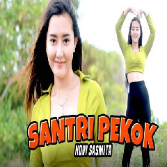 Download Lagu Novi Sasmita X Bajol Ndanu - Santri Pekok Terbaru