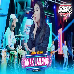 Din Annesia - Anak Lanang Ft Ageng Music.mp3