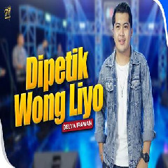Delva Irawan - Dipetik Wong Liyo Feat Om Sera.mp3