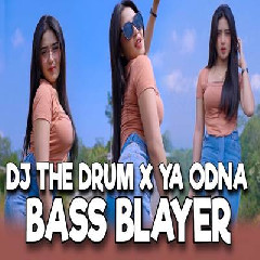 Imelia AG - Dj Bass Blayer The Drum X Ya Odna Paling Dicari.mp3